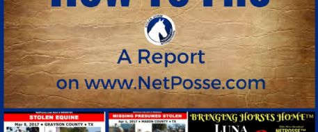 How To File A Report With NetPosse.com